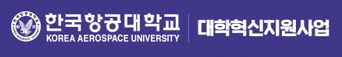 첨부3. 한국항공대학교 대학혁신지원사업 로고