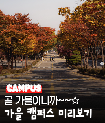 곧 가을이니까~~☆ 가을 캠퍼스 미리보기